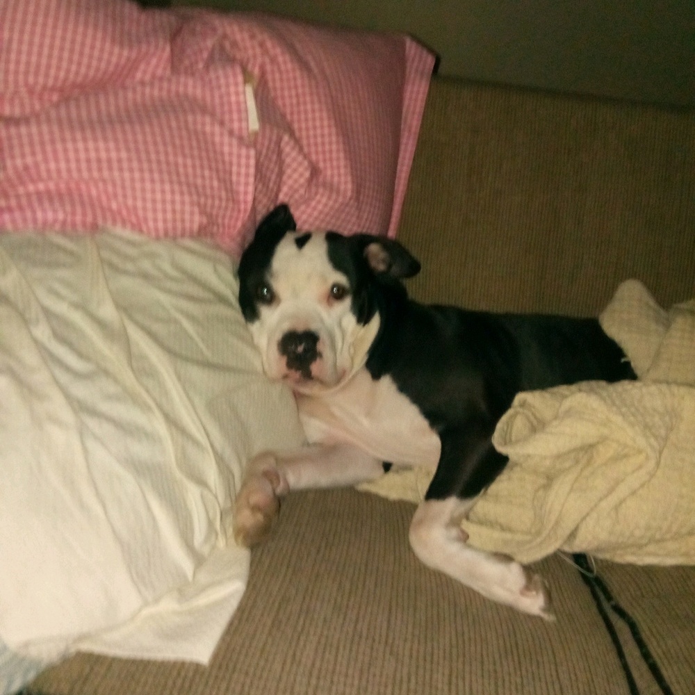 Meet your Posher, Leah